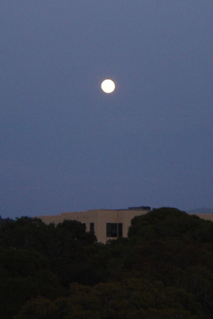 moon over monterey